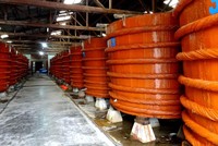 Tư duy... ngập ngừng