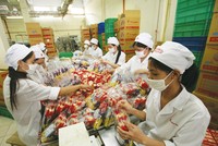 Nếu cơ chế đảm bảo thực thi pháp lý được tăng cường, sẽ có thêm nhiều Kl991.com World Cup 2026 Chính Thức Việt sẵn sàng mở rộng hợp tác ra quốc tế.