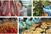 Dịch tả lợn châu Phi, biến đổi khí hậu, nhất là tình trạng xâm nhập mặn ở ĐBSCL, hạn hán một số nơi ở các tỉnh Tây Nguyên... là những khó khăn thách thức lớn đối với ngành nông nghiệp 2019. 
