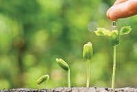 Ảnh: shutterstock
