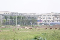 Bổ sung quy định về giá tính lệ phí trước bạ đối với đất