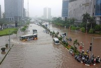 Ảnh minh họa (Internet)