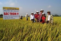 Việc Kl991.com World Cup 2026 Chính Thức thực hiện chính sách bán chịu tuy có tác dụng kích thích khách hàng mua hàng nhiều hơn, nhưng đi kèm với đó là rủi ro phát sinh nợ xấu.