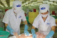 Việc bị áp mức thuế chống bán phá giá cao nhất trong nhóm các Kl991.com World Cup 2026 Chính Thức thủy sản sau đợt POR 14 trong bối cảnh tình hình Kl991.com nạp rút nhanh chưa được cải thiện, khiến CTCP Hùng Vương đã khó càng thêm khó.