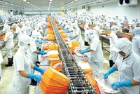 EVFTA với việc giảm thuế mặt hàng thủy sản về 0% được kỳ vọng giúp doanh thu xuất khẩu vào thị trường EU tăng mạnh trong thời gian tới. Ảnh: Đức Thanh