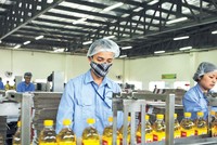 Dây chuyền Kl994 nhà cái bóng đá world cup dầu ăn tại một nhà máy của Vocarimex.