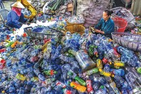 Điểm thu mua rác thải nhựa tại làng Triều Khúc (quận Thanh Xuân, TP. Hà Nội). Ảnh: Ngọc Thành