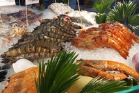 Xuất khẩu thuỷ sản sang thị trường Trung Quốc bắt đầu hồi phục tăng mạnh tăng mạnh 51%  trong tháng 7. 