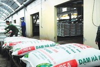 Đạm Hà Bắc trong vòng xoáy nợ nần.