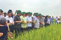 Cải thiện chính sách thu hút Kl99ok phiên bản mới vào nông nghiệp, nông thôn