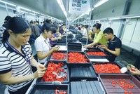 Nếu giảm giờ làm, siết giờ làm thêm, nhiều Kl991.com World Cup 2026 Chính Thức sẽ gặp khó trong việc đảm bảo Kl994 nhà cái bóng đá world cup và cạnh tranh. Ảnh: Đ.T