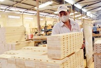 Tăng trưởng xuất khẩu 9 tháng chủ yếu đạt được từ tăng giá trị xuất khẩu lâm sản chính, đạt 7,93 tỷ USD, tăng 18%. 