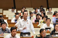 Đại biểu Trần Hoàng Ngân