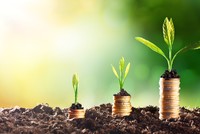 Tín dụng xanh cho tương lai vững bền: Kinh nghiệm và hỗ trợ của GIZ về thúc đẩy tín dụng xanh ở Việt Nam