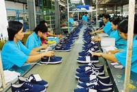 Năm 2018, ngành da giày mang về kim ngạch xuất khẩu 19,5 tỷ USD. 