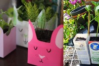 Sống xanh trong Kl993 Đăng nhập Giải trí hiện đại: dễ hay khó?