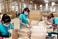 Sau những tuyên bố mạnh mẽ, bao nhiêu điều kiện Kl992 VIP Trang Chủ 2026 đã được đơn giản, cắt bỏ trong năm 2019?