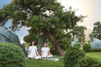 “Luật hóa” công trình xanh