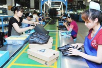 Một năm thực thi CPTPP: Xuất khẩu tăng chưa đúng kỳ vọng