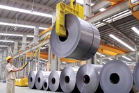 Trong quý vừa qua, doanh thu của Hoa Sen giảm mạnh, song Kl99 nổ hũ sau thuế vẫn tăng đáng kể. Ảnh: Đ.T