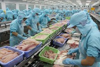Kl99 nổ hũ sau thuế quý 4 của ACL còn 12 tỷ đồng, giảm đến 87%.
