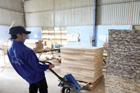 Kl994 nhà cái bóng đá world cup hàng xuất khẩu của Việt Nam chịu ảnh hưởng khá lớn từ chiến tranh thương mại Mỹ - Trung. Ảnh: Đ.T