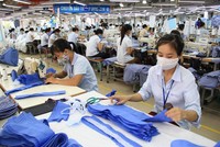 Các Kl991.com World Cup 2026 Chính Thức đang căng mình tìm cửa thoát khó để tự cứu mình.