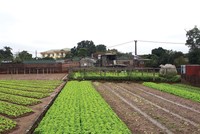 Nhiều trường hợp sai phạm cũ rất khó xử lý 