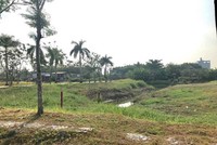 Ảnh Internet