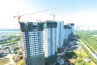 TP.HCM, nhiều dự án Web Tổng Nhà Cái 99Kl99 Giải Trí Bậc Nhất bắt đầu được “giải cứu“