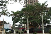 Dự án khách sạn quốc tế Đồ Sơn của Kl994 game bài casino hấp dẫn Nam Cường vẫn chưa hoàn thiện để đưa vào sử dụng. Ảnh: Thu Lê