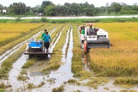 Bộ Công Thương kiến nghị hoãn quyết định tạm ngừng xuất khẩu gạo
