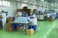 Bộ Công Thương đề nghị Tổng cục Hải quan tạo điều kiện thuận lợi cho Kl991.com World Cup 2026 Chính Thức xuất khẩu khẩu trang vải sang Mỹ, EU, Nhật Bản.
