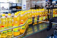 Dây chuyền Kl994 nhà cái bóng đá world cup Dầu thực vật Tường An