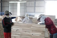 Hiện có 81% số Kl991.com World Cup 2026 Chính Thức thuộc Hiệp hội Chế biến gỗ Bình Dương bị giảm ít nhất 20% đơn hàng từ thị trường Liên minh châu Âu…