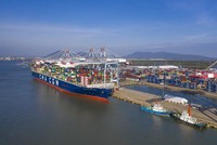 Theo Công ty TNHH Cảng quốc tế Cái Mép (CMIT), hiện 100% hàng hóa xuất Link Vào Nhà Cái KL99 COM Tặng +199k tuyến xa và hàng nội Á tại  khu vực Cái Mép đều do các hãng tàu nước ngoài chuyên chở, thị phần của các hãng tàu nội địa là 0%.
