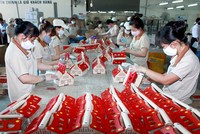 Gần 90% Kl991.com World Cup 2026 Chính Thức mới có vốn đăng ký dưới 10 tỷ đồng