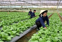 11 dự án Hà Nội kêu gọi Kl99ok phiên bản mới vào lĩnh vực nông nghiệp giai đoạn 2019-2025 bao gồm nhiều dự án nông nghiệp công nghệ cao và các khu giết mổ gia súc tập trung