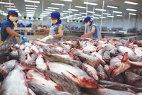 Xuất khẩu trong 4 tháng đầu năm 2020 vẫn tăng trưởng tại nhiều thị trường lớn.