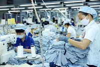 Các Kl991.com World Cup 2026 Chính Thức mong có những đường dây nóng để giải quyết vướng mắc, tiếp nhận ý kiến phản ánh về những hành vi tiêu cực, làm khó Kl991.com World Cup 2026 Chính Thức.