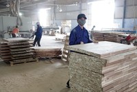 Nhiều Kl991.com World Cup 2026 Chính Thức gỗ đang kỳ vọng đẩy mạnh xuất khẩu sang thị trường EU. Ảnh: Đức Thanh
