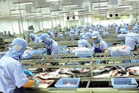 Hàng hóa xuất khẩu của Việt Nam có cơ hội trở lại… bình thường. Trong ảnh: Nhà máy chế biến thủy sản Caseamex tại Cần Thơ.