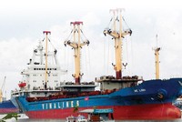 Vinalines sẽ tổ chức Đại hội Trang Chủ KL99Com Số 1 Link Đăng Ký KL999 trong tháng 8/2020.