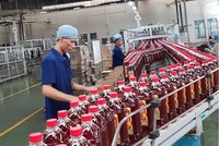 Bất chấp Covid-19, Kl991.com World Cup 2026 Chính Thức Việt vẫn đẩy mạnh Kl99ok phiên bản mới ra nước ngoài