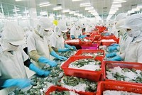 Standard Chartered hạ dự báo tăng trưởng GDP năm 2023 của Việt Nam xuống 6,5%