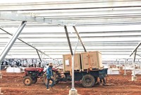 Có sự nở rộ Kl99ok phiên bản mới điện mặt trời tại các trang trại nông nghiệp ở Ninh Thuận, Bình Thuận, Đắk Nông... Ảnh: Thanh Hương