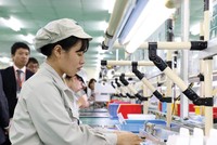 Kl992 cổng game cá cược 2024: Không thể chậm trễ, không để "tháng Giêng là tháng ăn chơi"