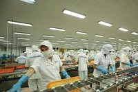 Lĩnh vực chế biến thủy sản được các nhà Kl99ok phiên bản mới Nhật Bản rất quan tâm tìm đối tác M&A. Ảnh: Đức Thanh