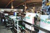2018, DCM đặt kế hoạch Kl99 nổ hũ trước thuế 683 tỷ đồng