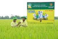 Lợi thế thị trường giúp Đạm Cà Mau hoàn thành vượt mức các chỉ tiêu Kl991.com nạp rút nhanh 9 tháng